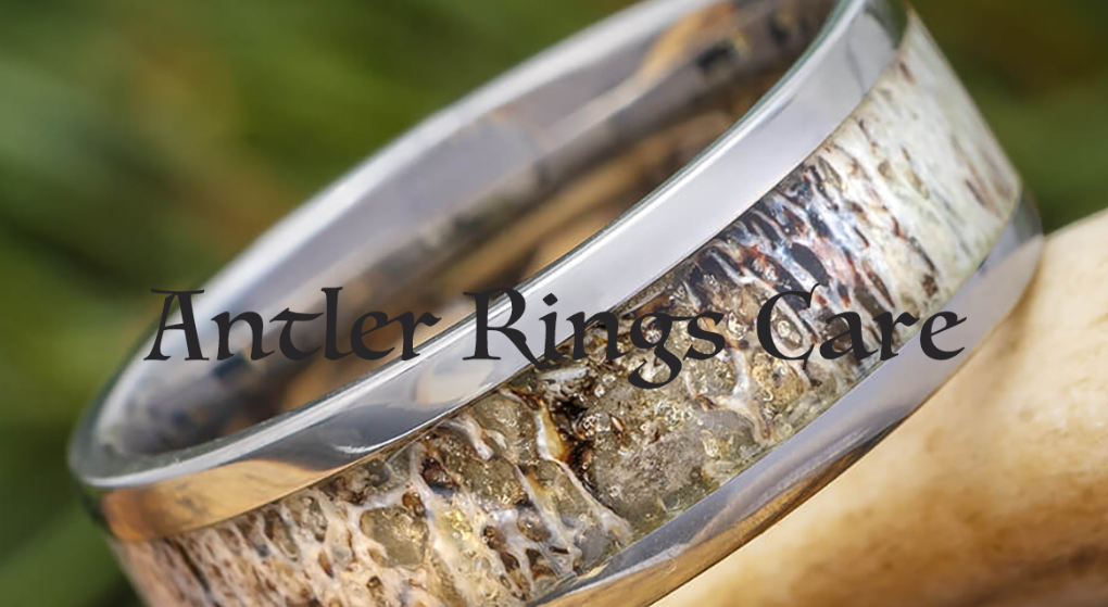 Essential Guide on Antler Ring Care